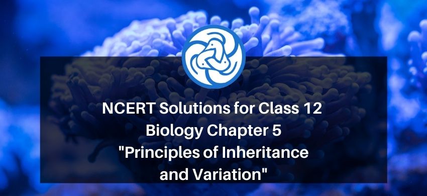 NCERT Solutions for Class 12 Biology Chapter 5 Principles of Inheritance and Variation PDF - eSaral