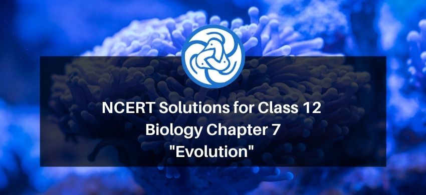 NCERT Solutions for Class 12 Biology Chapter 7 Evolution PDF - eSaral