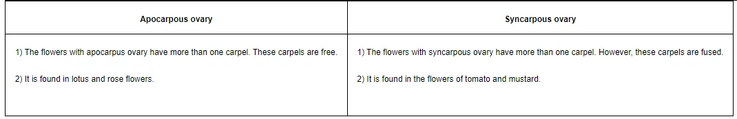 1) The flowers with apocarpus ovary have more than one carpel. These carpels are free.