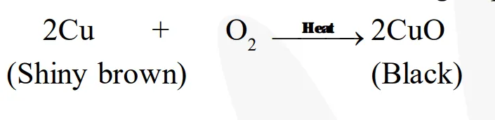 A shiny brown-coloured element