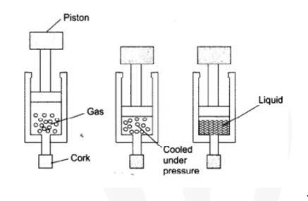Class 9 NCERT science Question Image 1