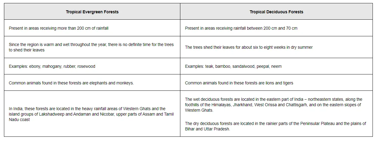 >
</div></div></div>
        
        
          <div class=