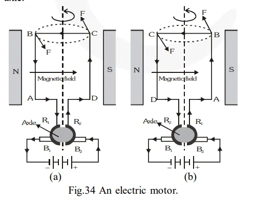 Draw a labelled diagram of an electric motor. Explain its principle and working. What is the function of a split-ring in an electric motor