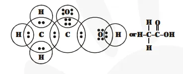 Draw the electron dot structure of