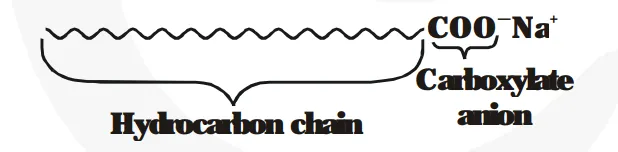 Explain the mechanism of the cleansing action of soaps.
