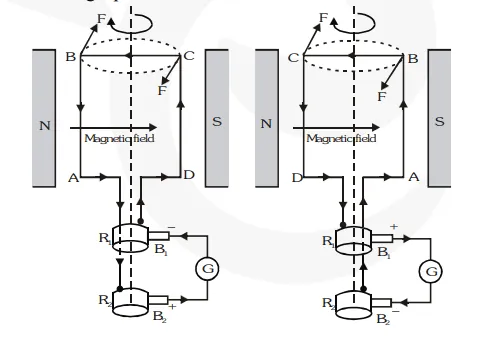 Explain the underlying principle and working of an electric generator by drawing a labelled diagram. What is the function of brushes