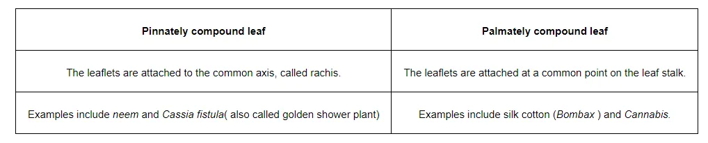 Explain with suitable examples
