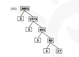 Express each number as product of its prime