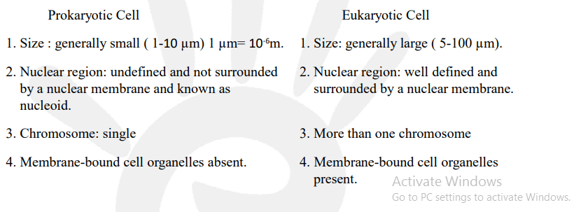 Fill in the gaps in the following table illustrating differences between prokaryotic and eukaryotic cells.