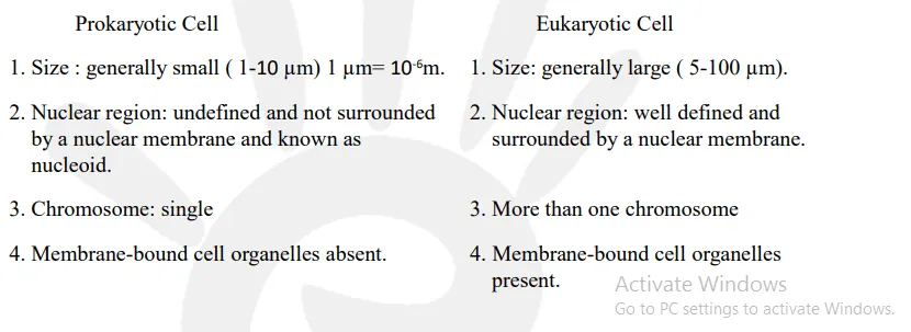 Fill in the gaps in the following table illustrating differences between prokaryotic and eukaryotic cells.
