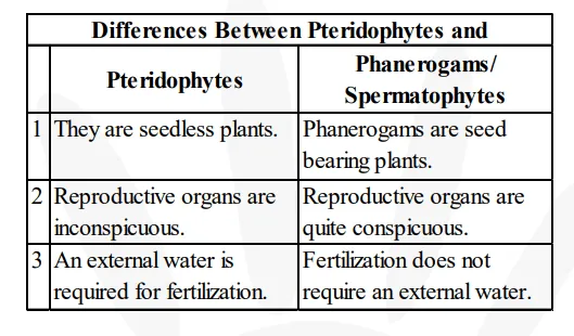 How are pteridophytes different from