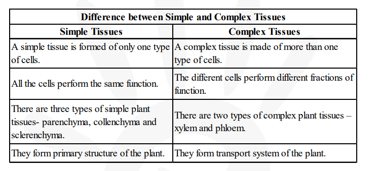 How are simple tissues different