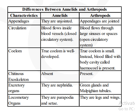 How do annelid animals differ from