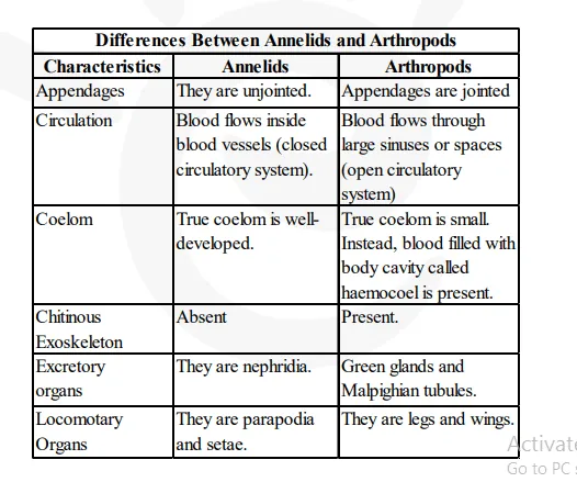 How do annelid animals differ from
