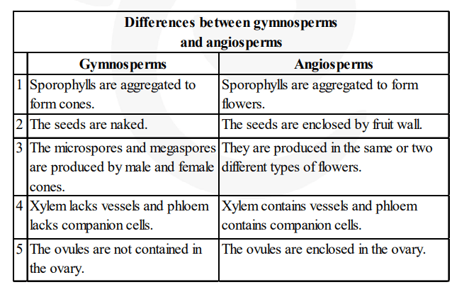 How do gymnosperms and angiosperms differ from each 