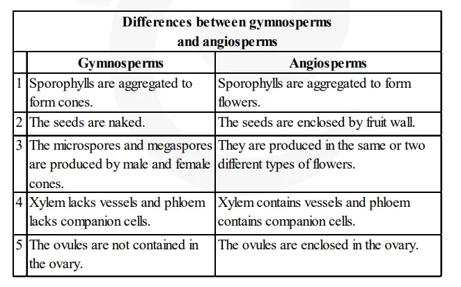 How do gymnosperms and angiosperms differ from each 