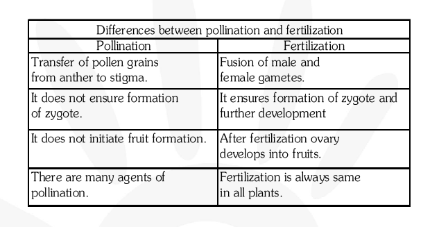 How is the process of pollination different from fertilisation