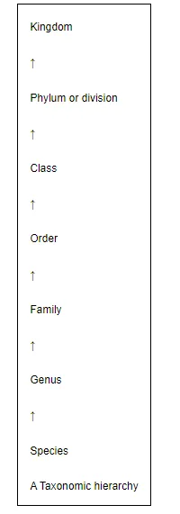 In this hierarchy, species is present at the lowest level whereas kingdom is present at the highest level.