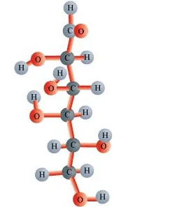 It is the most fundamental and common model of representing biomolecular structures.