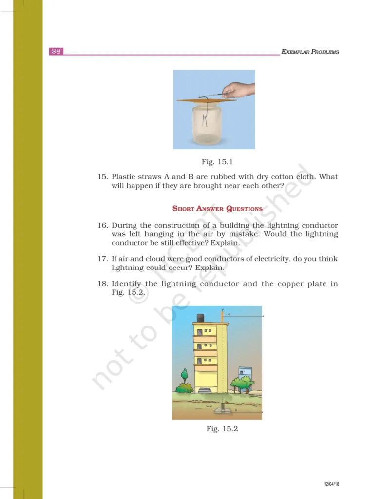 NCERT Exemplar Class 8 Science Chapter 15 Image 3