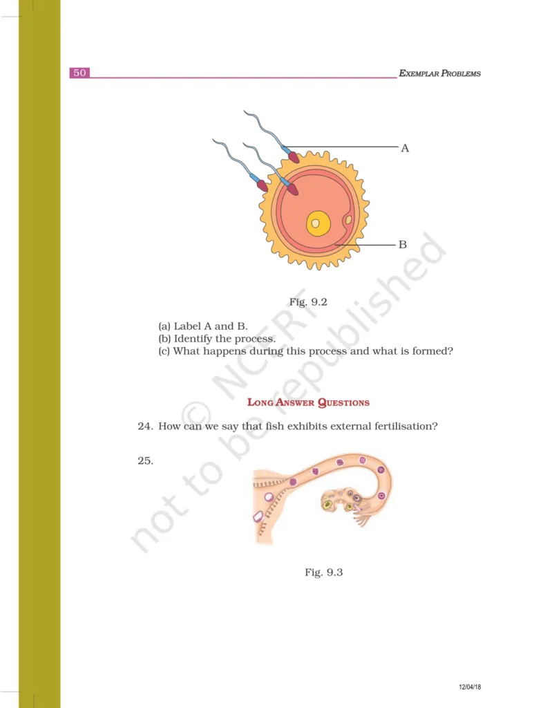 NCERT Exemplar Class 8 Science Chapter 9 Image 4