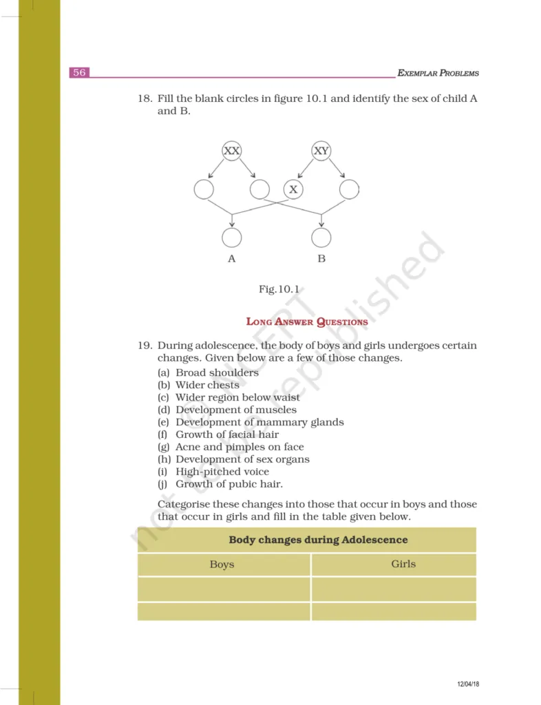 NCERT Exemplar Class 8 Science Chapter 10 Image 4