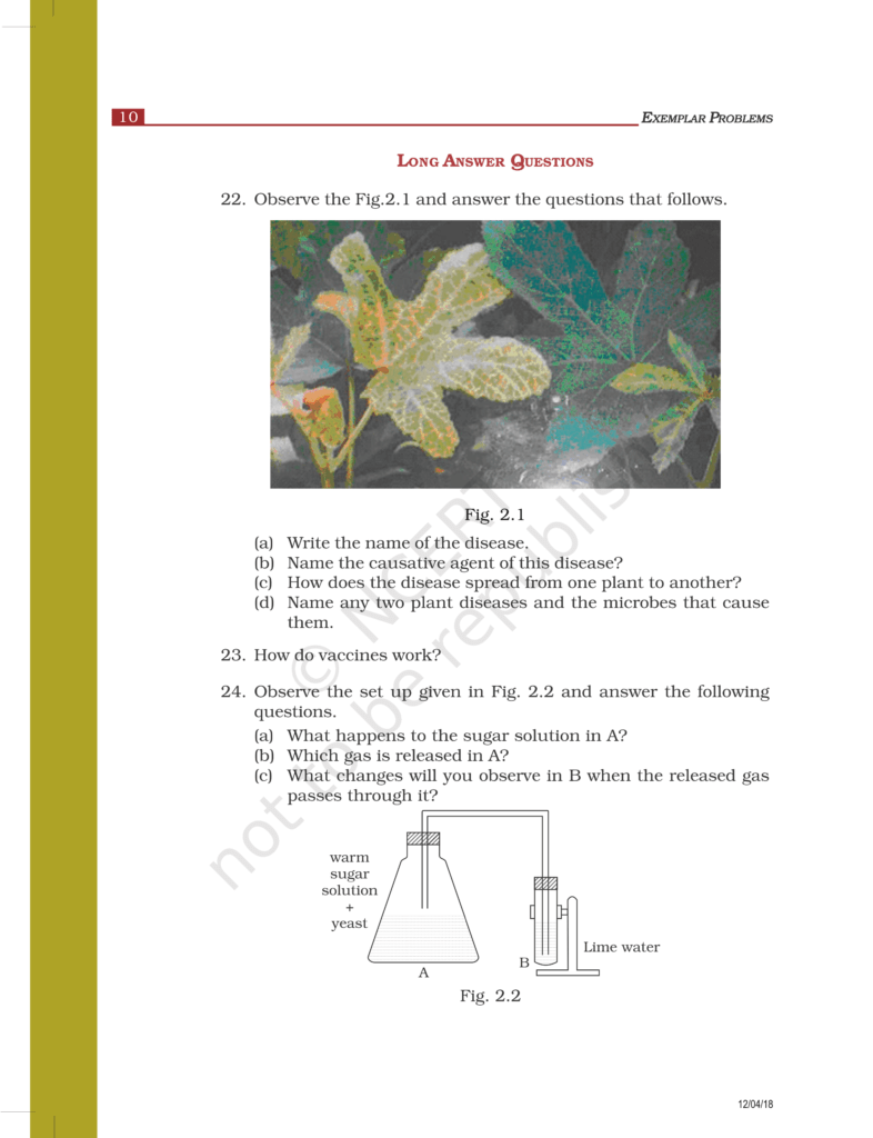 NCERT Exemplar Class 8 Science Chapter 2 Image 4