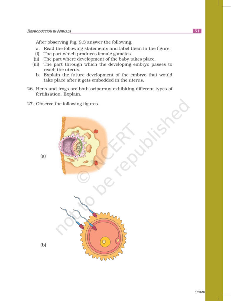 NCERT Exemplar Class 8 Science Chapter 9 - Reproduction in Animals