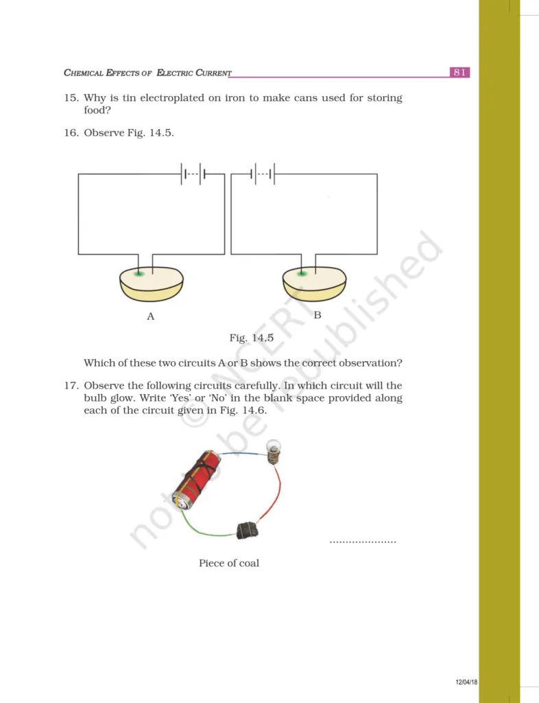 NCERT Exemplar Class 8 Science Chapter 14 Image 5