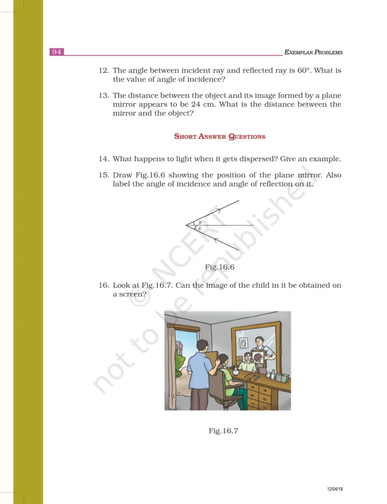 NCERT Exemplar Class 8 Science Chapter 16 Image 5