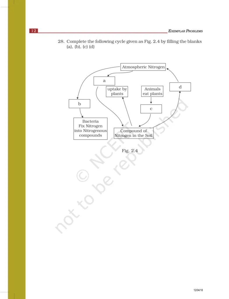 NCERT Exemplar Class 8 Science Chapter 2 Image 6