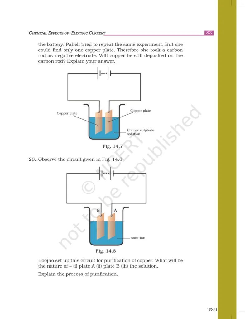 NCERT Exemplar Class 8 Science Chapter 14 Image 7