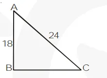 Let AB be the vertical pole of 18 m and AC