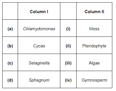 Match the followings (column I with column II)