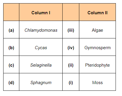 Match the followings (column I with column II)12