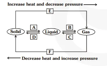 Name A, B, C, D, E and F in the following