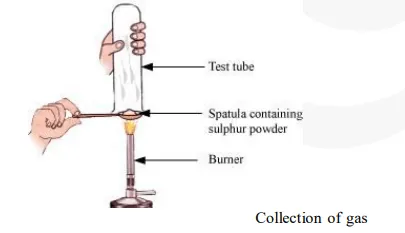 Pratyush took sulphur powder on a spatula and heated it.01