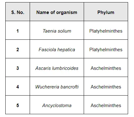 Prepare a list of some animals that are found parasitic on human beings.