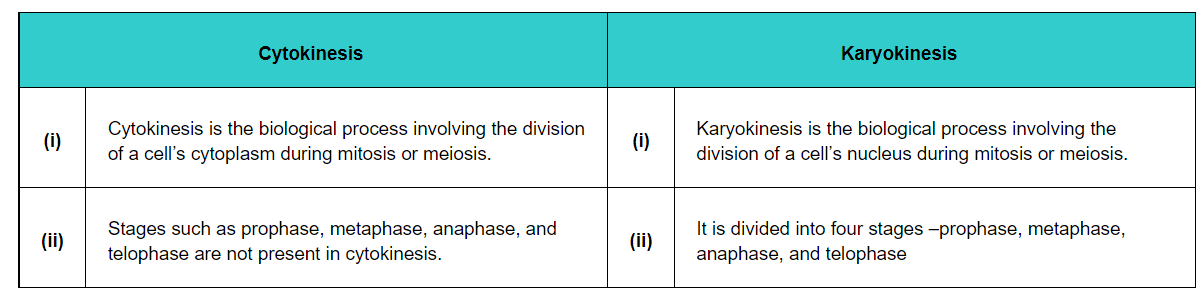 Stages such as prophase, metaphase, anaphase, and telophase are not present in cytokinesis.