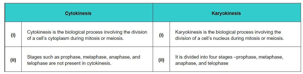 Stages such as prophase, metaphase, anaphase, and telophase are not present in cytokinesis.