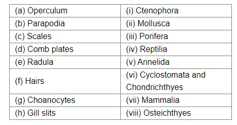 The body segmentation first appeared in the phylum