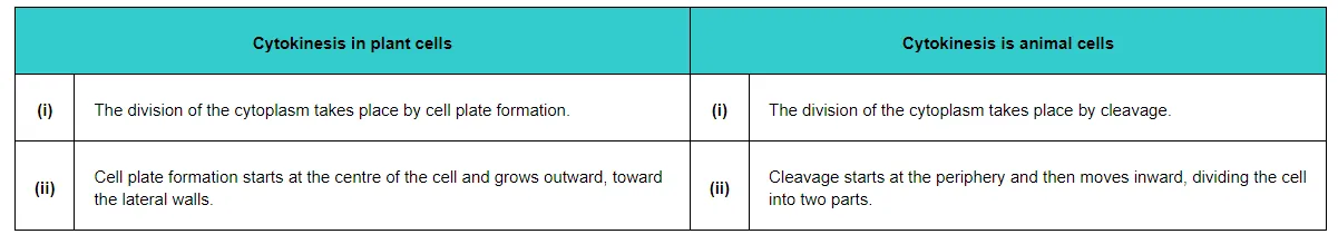 The division of the cytoplasm takes place by cell plate formation.