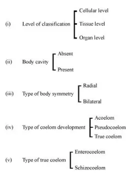 There is a certain common fundamental feature that helps in classification of living organisms. The features that can be used in classification are as follows.