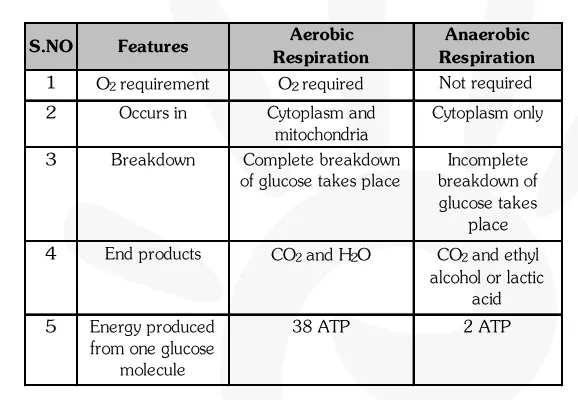 What are the differences between aerobic and anaerobic respiration