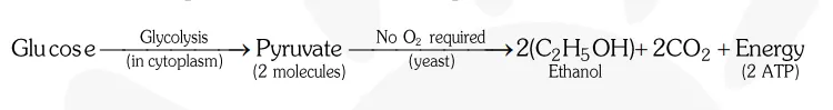 What are thedifferent ways in which glucose is oxidised to provide energy in various organisms02