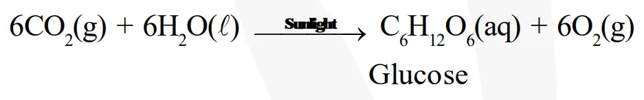 What does one mean by exothermic and endothermic reactions