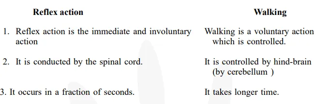 What is the difference between a reflex action and walking