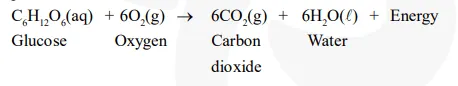 Why is respiration considered an exothermic reaction 