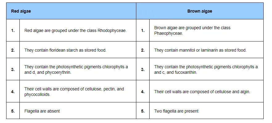 (i) Red algae and brown algae12