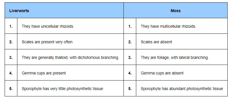 (ii) Liverworts and moss12